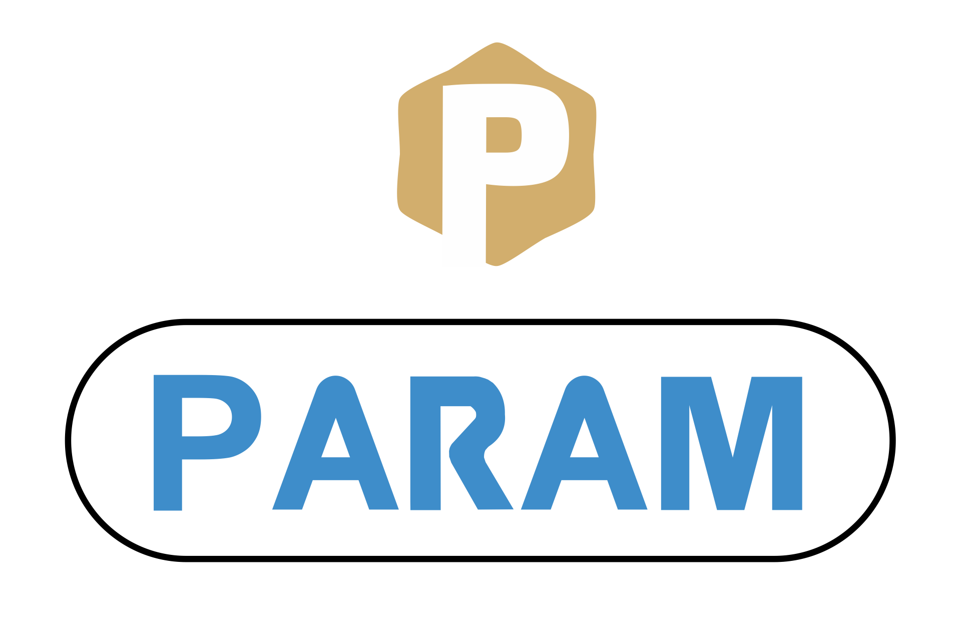 Param Business Solutions Logo